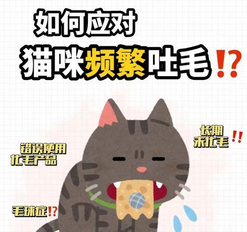 猫咪换毛周期及注意事项（掌握猫咪换毛周期，给宠物健康的换毛体验）