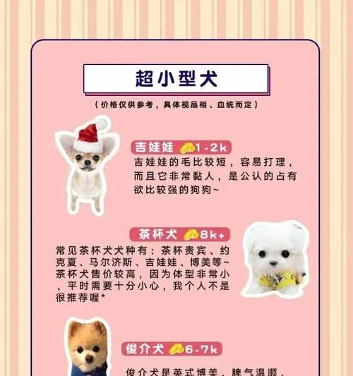 探秘卷毛狗的世界（介绍卷毛狗的品种及其特点）