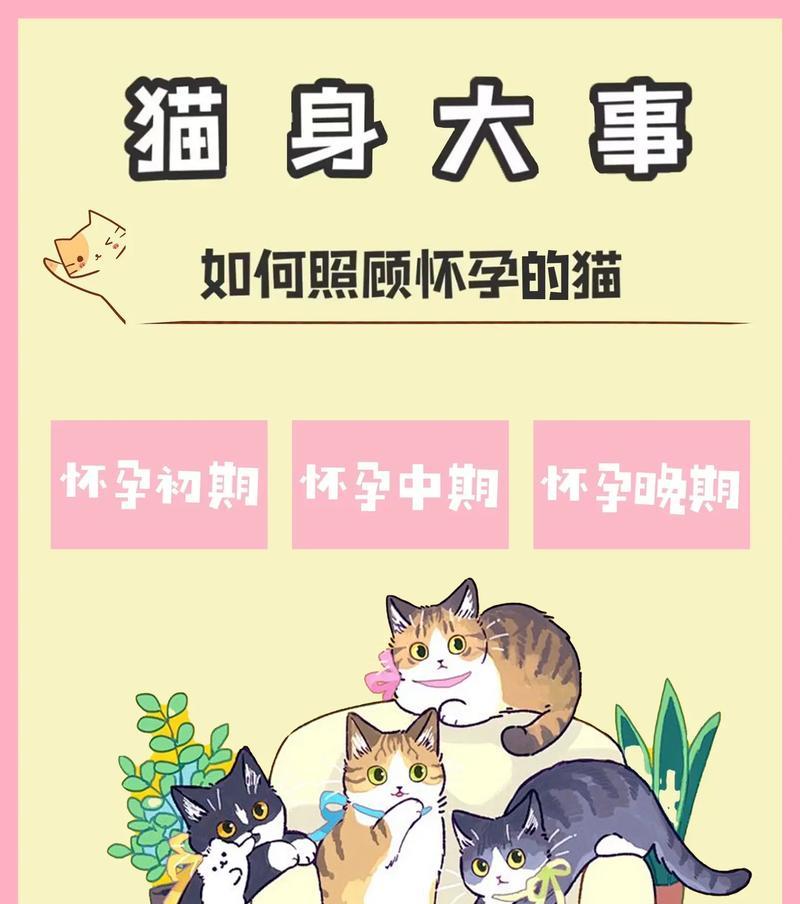 小猫怀孕期为多长时间？（小猫的怀孕周期及重要的注意事项）