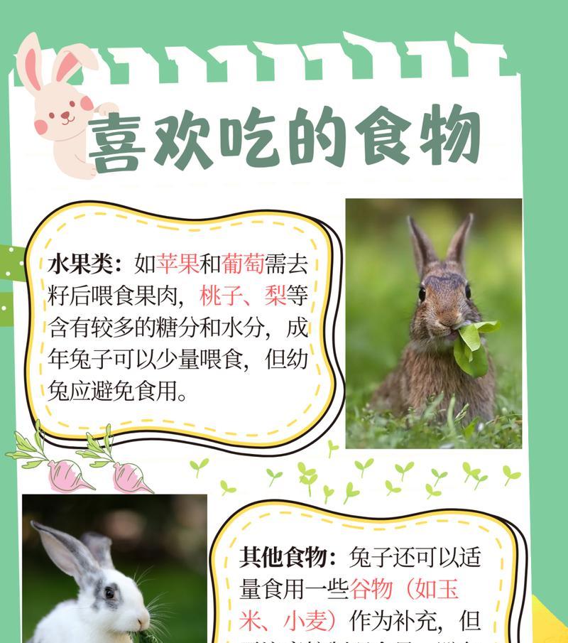 兔子不吃东西能活多久？（探索兔子的惊人生存之谜）