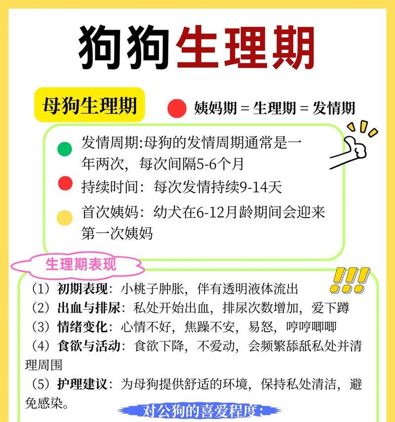 狗狗生小狗所需时间（从配对到分娩，探究狗狗繁殖周期）