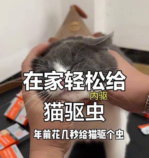 家猫的内驱周期及保健建议（了解家猫驱虫周期，让我们的猫咪健康快乐）
