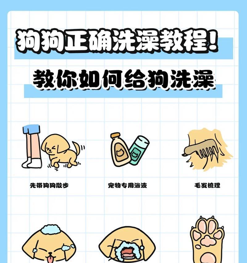 狗的洗澡频率及注意事项（探究狗狗洗澡的最佳时间和方法）
