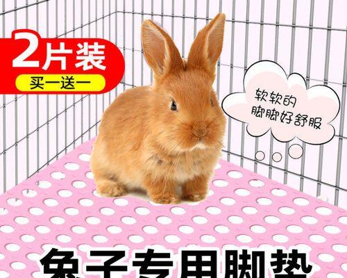 探索宠物兔的乐园（以以下兔子网站为主题的介绍）