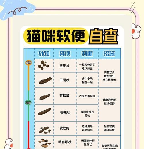 通过猫咪的便便了解其健康状况（了解猫咪健康的指南和技巧）