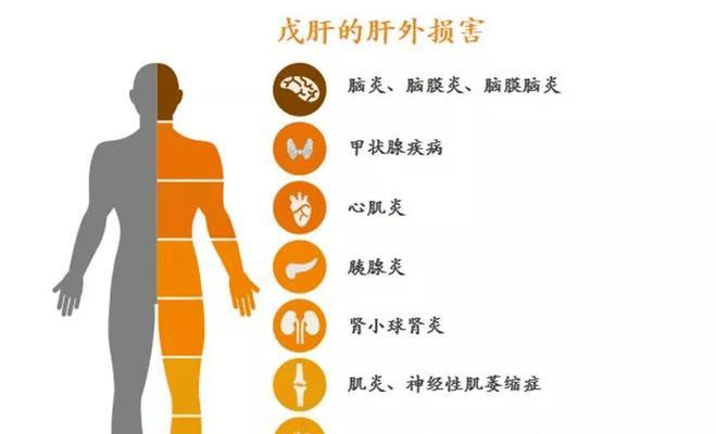 狗得脑炎的潜伏期有多长？（揭开狗脑炎的潜伏期之谜）