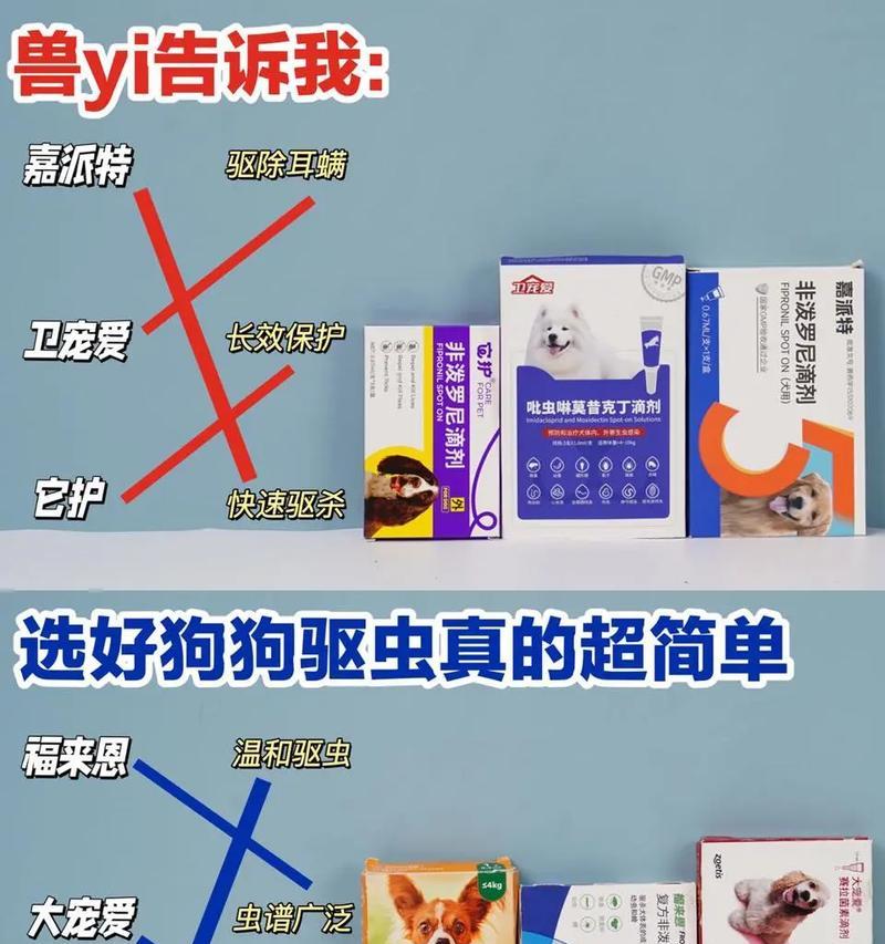 成年狗狗驱虫的时间和频率（养狗必知！多久给成年狗狗驱虫一次才够？）