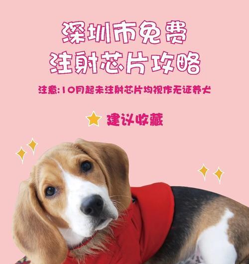 2个月大的狗需要打针吗？（了解狗狗打针的时间和重要性）