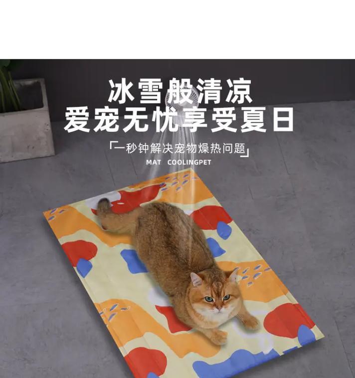 夏天如何给猫咪降温？（15个正确的散热方法，让你的猫咪度过炎热的夏天！）