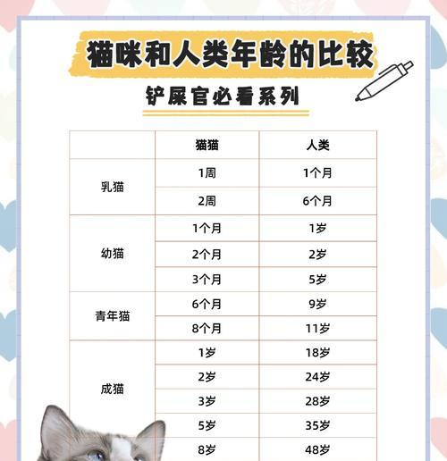 异国短毛猫的孕期是多久？（探索异国短毛猫孕期的时间长度及特点）