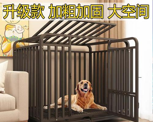 狗笼子消毒时间究竟需要多久才能使用？（探究狗笼子消毒时间的关键因素与方法）