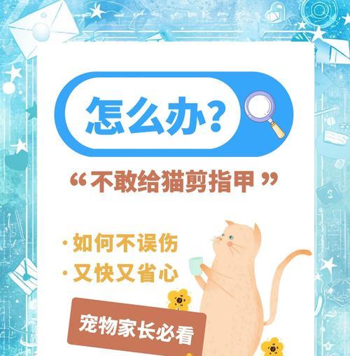 如何在家给猫咪修剪指甲（准备工作及步骤详解）