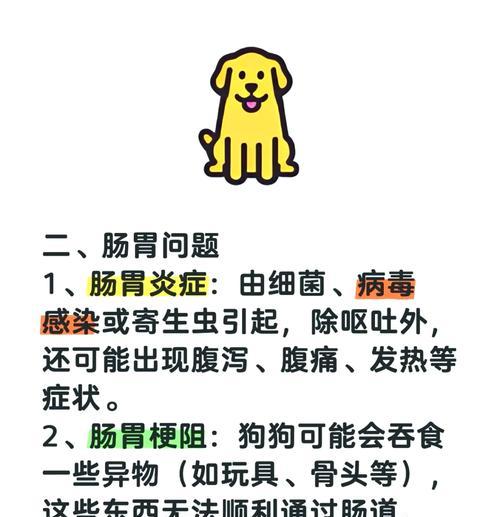 狗狗呕吐（详解狗狗呕吐的常见原因和有效治疗方法）
