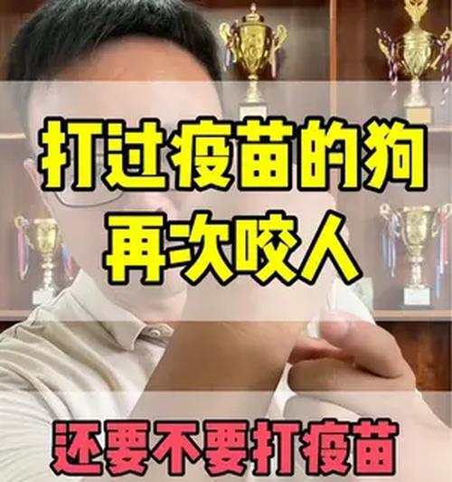 狗狗育苗间隔期是多久？（科学养狗，合理安排育苗时间）
