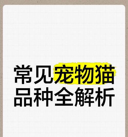 揭秘6种常见宠物猫的价格，你买贵了吗？（了解宠物猫市场行情，掌握购买技巧）