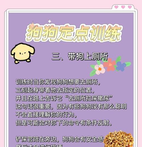 狗狗训练的最佳时期是在什么时候？（以年龄为基准，为你的狗狗制定训练计划）