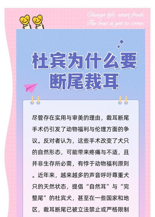 探究狗狗断尾的原因及背后的考虑（从保护到美观，揭开狗狗断尾的多重理由与争议）