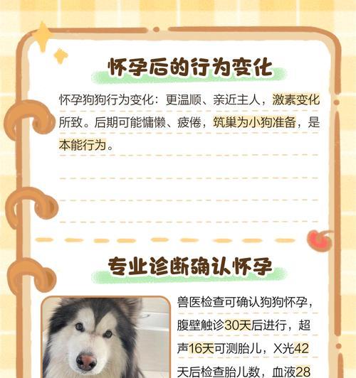 小狗怀孕的周期及注意事项（了解小狗的怀孕周期，呵护新生生命的到来）