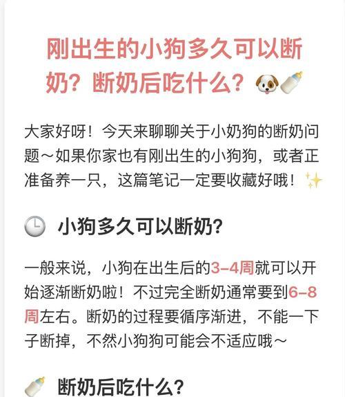 彻底断奶需要多久？解析完整断奶过程和时间（分阶段断奶，合理安排时间，助宝宝顺利过渡）
