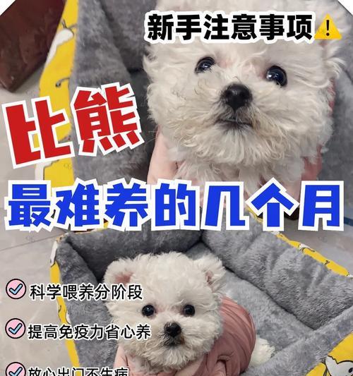 幼犬到新家多久不叫（培养安静的幼犬生活习惯）