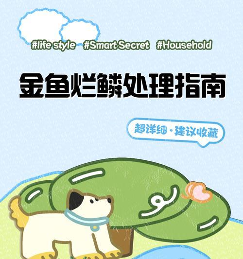 金鱼烂尾鳍的治疗方法（了解金鱼烂尾鳍的症状与预防措施）
