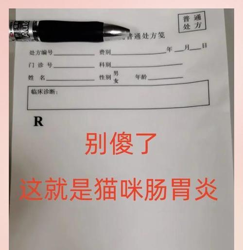 猫肠炎的治疗时间及药物疗效（探索猫肠炎疗程长度及恢复情况，药物疗效解析）