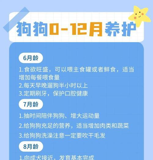 宠物狗狗的牙齿生长周期（探秘狗狗的龋齿之旅）