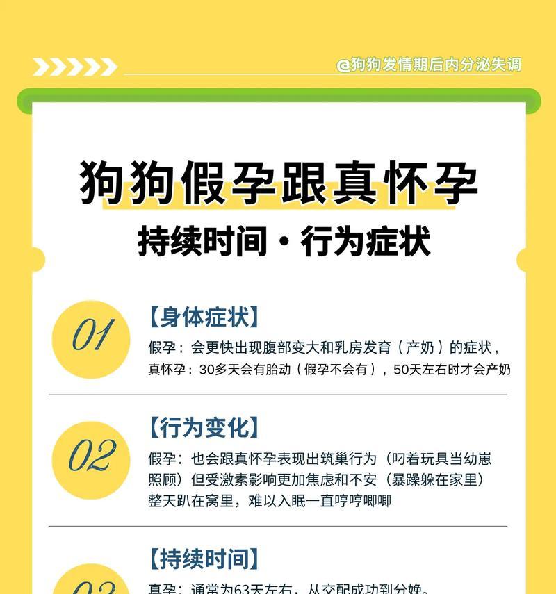 狗的怀孕周期是多长时间？（探究狗的怀孕周期及检查方法）
