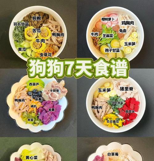 40天大的狗狗的饮食要求及养护方法（新手养狗指南）