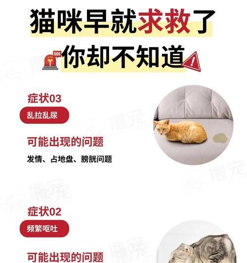 猫咪的饮食健康问题（了解为什么猫咪不能吃盐，以及过多盐分对猫咪健康的影响）