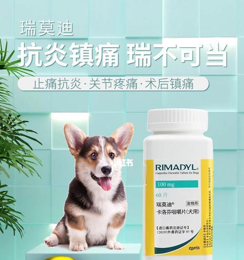 狗狗生病后多久会恢复？解答你的疑惑！