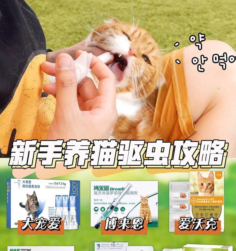宠物猫驱虫费用及注意事项（了解宠物猫驱虫的费用和注意事项，让你的猫咪远离寄生虫）