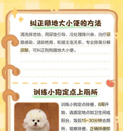 小狗的大小便频率和习惯（探索三个月大小狗大小便的时间间隔与行为特征）