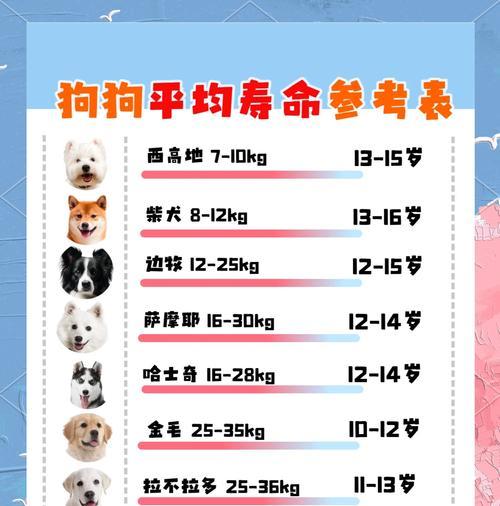 狗狗生完第一个仔隔多久？（了解正确的繁殖间隔，保护狗狗的健康）
