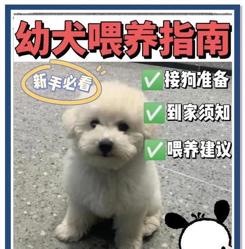牧羊犬狗崽断奶时机与方法（牧羊犬狗崽断奶的关键与注意事项）