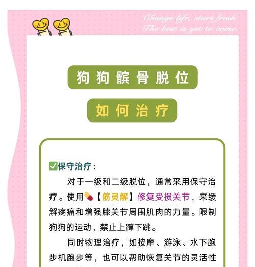 狗狗骨裂恢复时间及护理方法（深入了解狗狗骨裂的康复过程和护理要点）