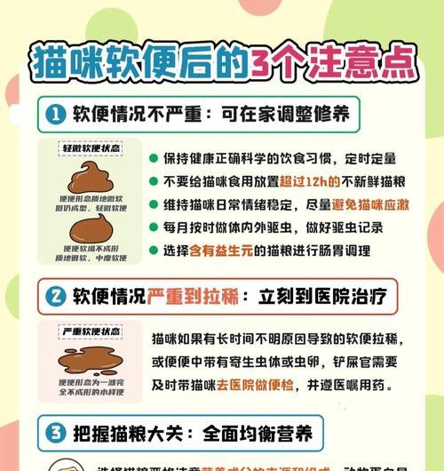 猫咪便秘怎么办？（采取合适的措施解决猫咪便秘问题）