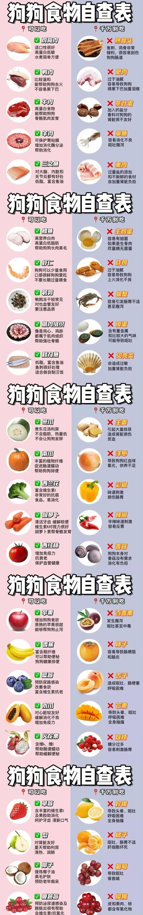 揭秘狗狗眼中最美味的食物（口水止不住的美食盛宴，你猜猜最好吃的是什么？）