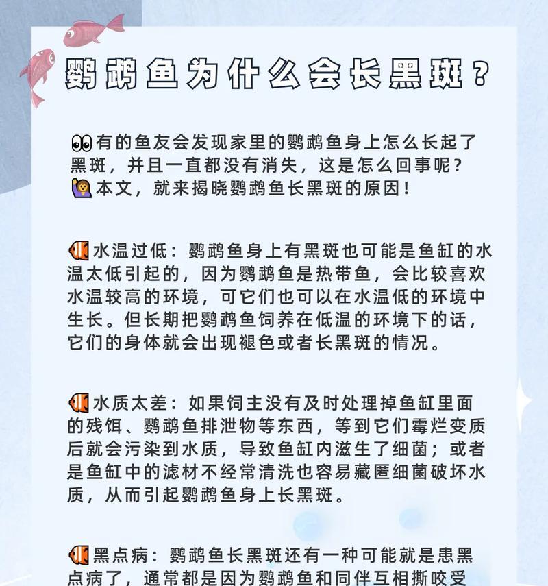 饲养鹦鹉鱼的水质管理及白斑问题解析（为什么需要天天换水？白斑是什么原因引起的？）