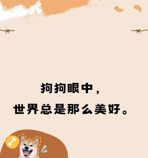 西施犬（六大优点让你爱上西施犬）