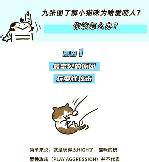 揭秘猫咪咬人的真实原因（了解猫咪的玩耍性攻击与它的背后）