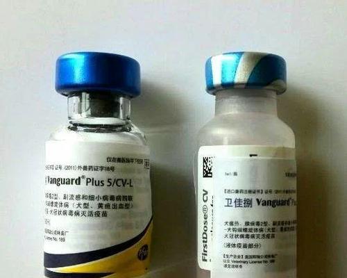 狗狗打完针后多久药效开始发挥作用？（探究狗狗打完针后药效的启示时间及持续时间）