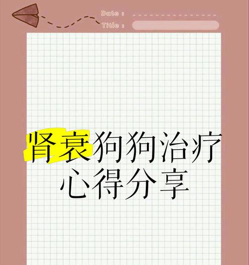 狗狗二级肾衰能活多久的关键因素（了解肾衰竭进展对狗狗寿命的影响）
