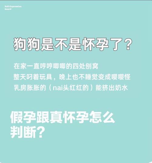 狗狗怀孕生产前的症状（了解狗狗怀孕前的体征与变化，为其健康生产做准备）