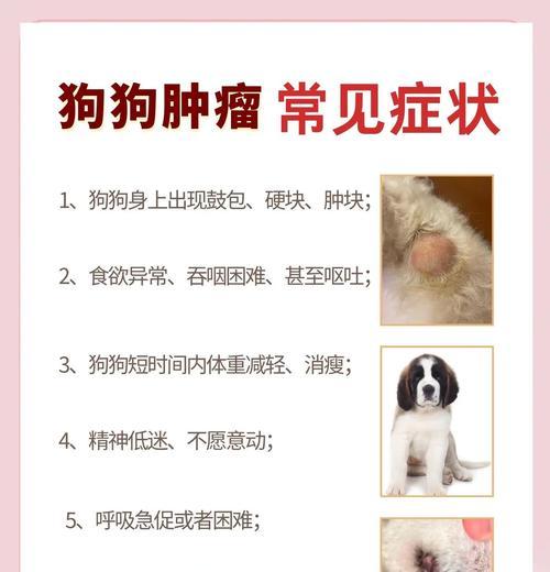 狗狗尿道发炎（了解狗狗尿道发炎的症状及如何进行有效治疗）