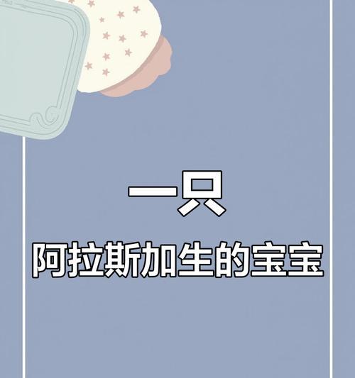 狗生第一窝需要多久？（探索狗繁殖过程中的时间要求与考量）