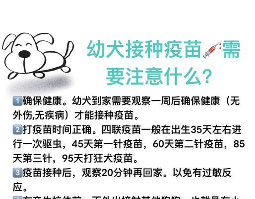 新买的幼犬到家需要多久打疫苗？（宠物犬打疫苗时间表和重要性解析）