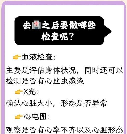 犬心丝虫病（了解犬心丝虫病的危害及预防措施）