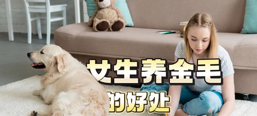 选择金毛，寻找与你最契合的伙伴（金毛优缺点详解，找到适合自己的宠物伙伴）