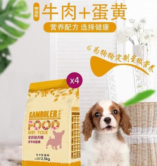 柯基狗狗3个月应该吃什么狗粮？（为柯基宝宝选择合适的营养狗粮）